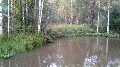 Купить Дом Мурзинка Новоуральский Городской Округ